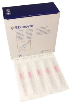 Becton Dickinson BD Insyte IV Catheter