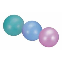 Therapy In Motion Pilates Exercise Balls