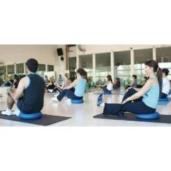 Gymnic Disc'o'Sit - Adult / Junior -Sports Therapy Store DIS002R 8