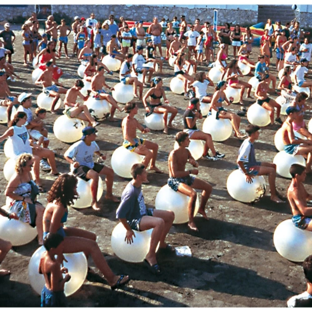 Gymnic Fit-Ball - Anti Burst Gym Ball - 55, 65 Or 75cm 11 Gymnic Fit-Ball - Anti Burst Gym Ball - 55, 65 Or 75cm - Image 11