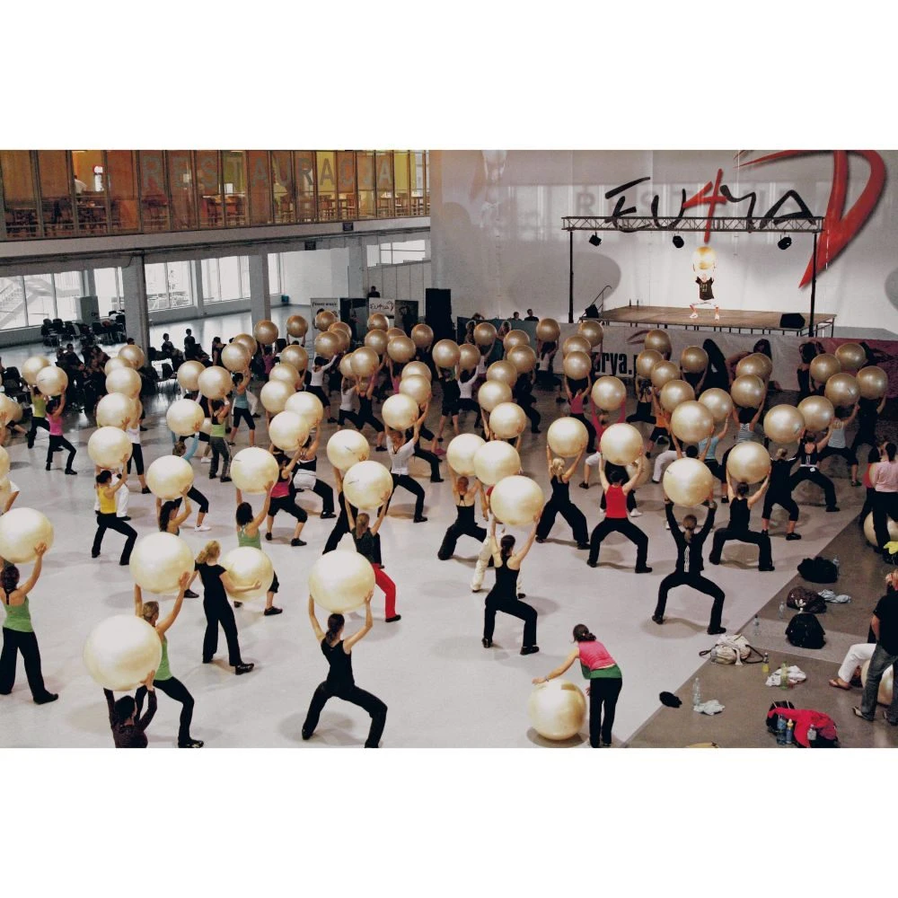 Gymnic Fit-Ball - Anti Burst Gym Ball - 55, 65 Or 75cm 10 Gymnic Fit-Ball - Anti Burst Gym Ball - 55, 65 Or 75cm - Image 10