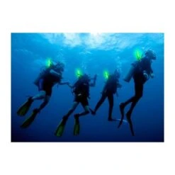 Front Page -Sports Therapy Store GLO005E.2