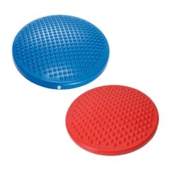 Gymnic Disc'o'Sit - Adult / Junior