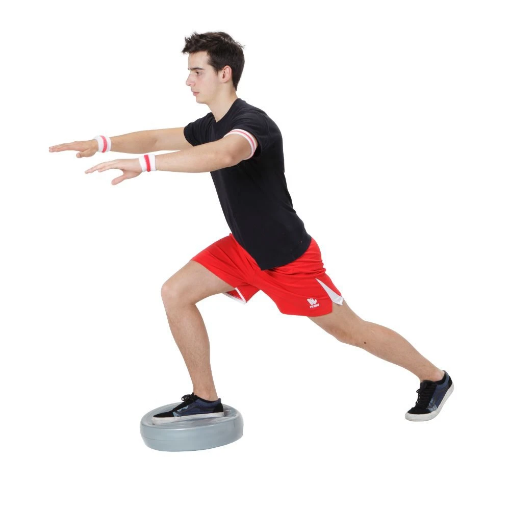 Gymnic Stability Wheel Balance Cushion - Grey 40 Cm X 9 Cm 4 Gymnic Stability Wheel Balance Cushion - Grey 40 Cm X 9 Cm - Image 4